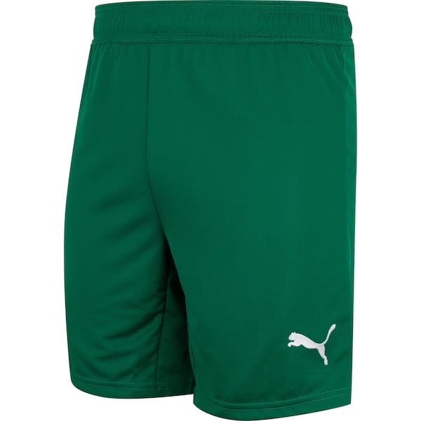 Calção do Palmeiras II 25 Puma Masculino