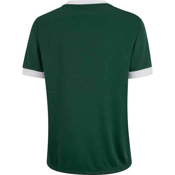 Vista 2 Camiseta do Palmeiras 1914 II Betel Feminina Betel VERDE