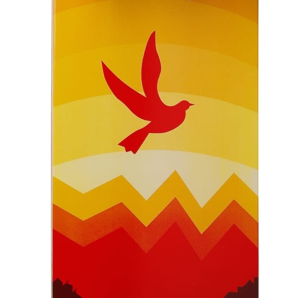 Skate Street Spin YK Bid Lar - 2