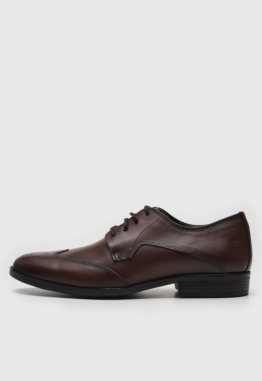 Sapato Social Dudalina Brogue