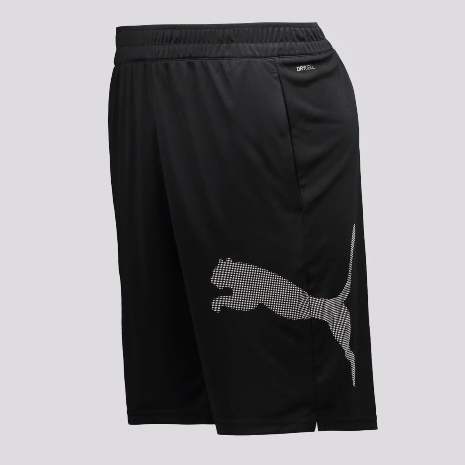 Vista 2 Shorts Puma Tad Big Logo Puma preto