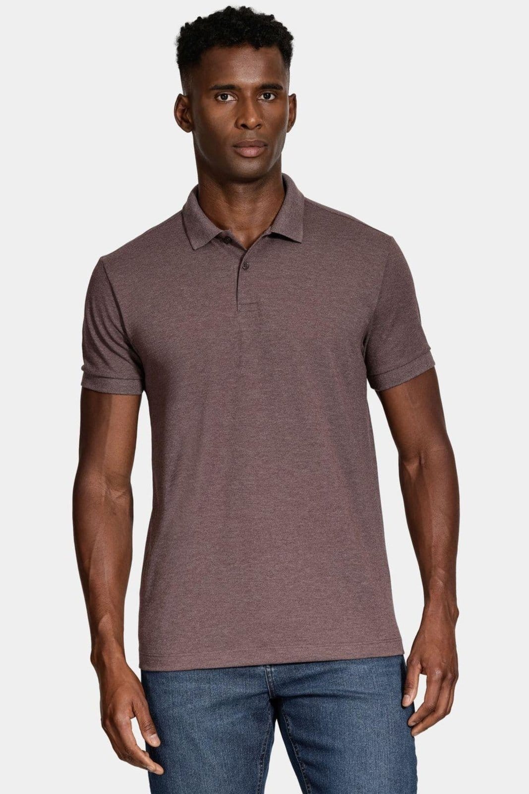 Polo Aramis Manga Curta Mescla Cores