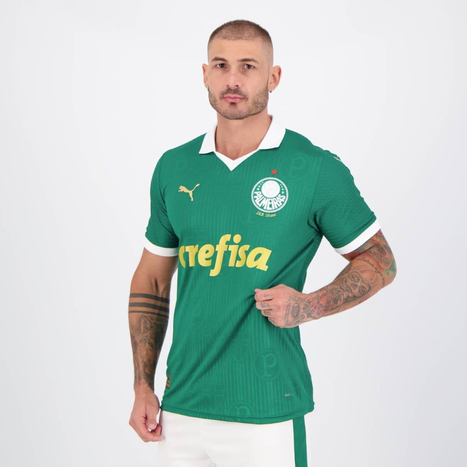 Vista 2 Camisa Puma Palmeiras I 2024 Jogador Puma verde