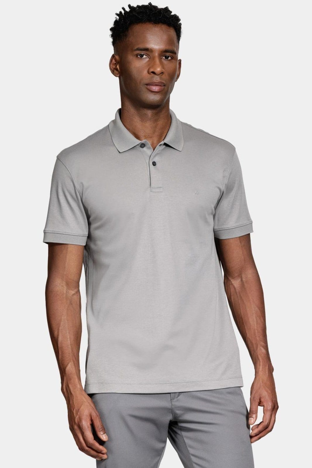 Vista 2 Polo Aramis Interlock Pima Granito Aramis cinza