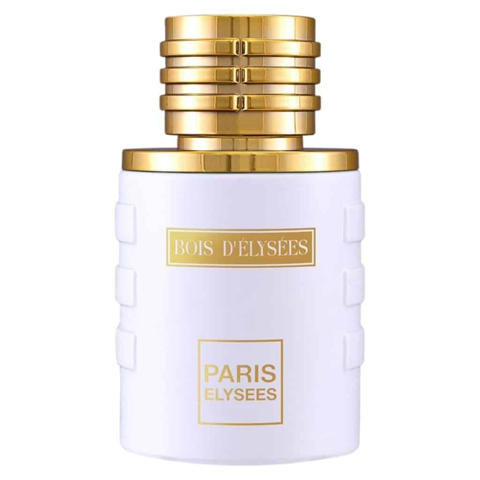 Vista principal Bois D'elysees Perfume Masculino Paris Elysees 100 ml Paris Elysees incolor