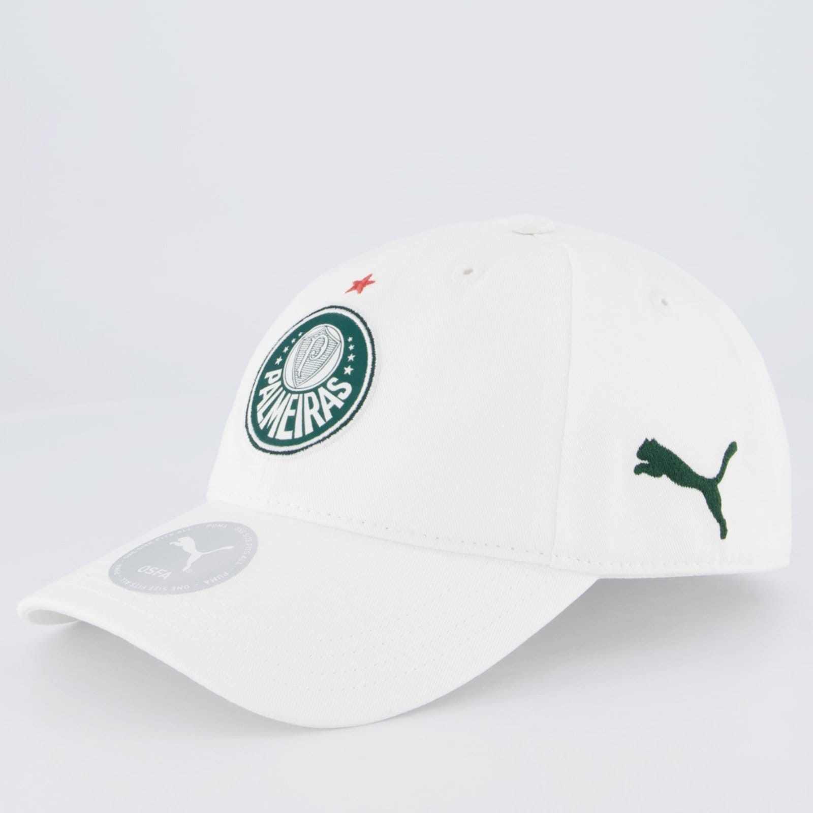 Boné Puma Palmeiras Training