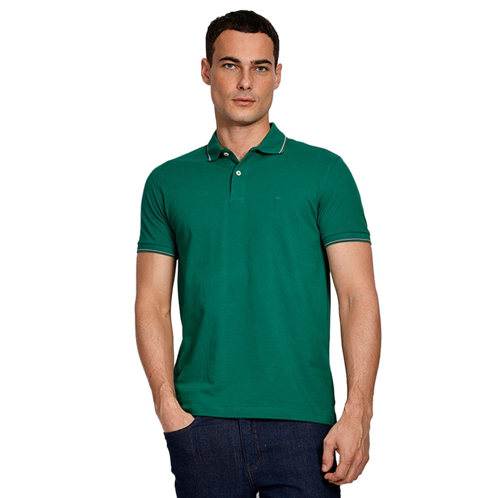 Camisa Polo Aramis 4 Frisos Ve25 Masculino
