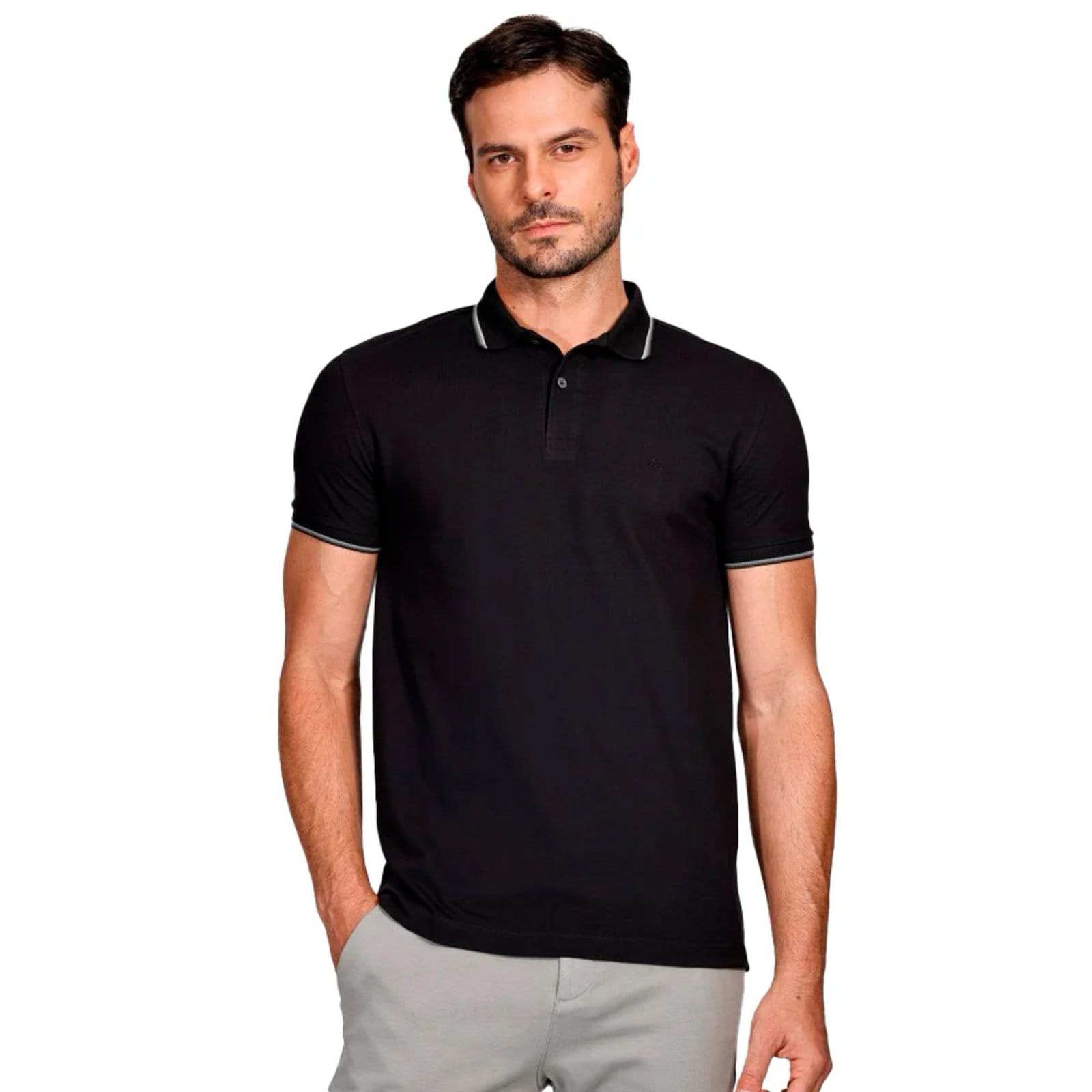 Camisa Polo Aramis 4 Frisos Ve25 e Cinza Masculino