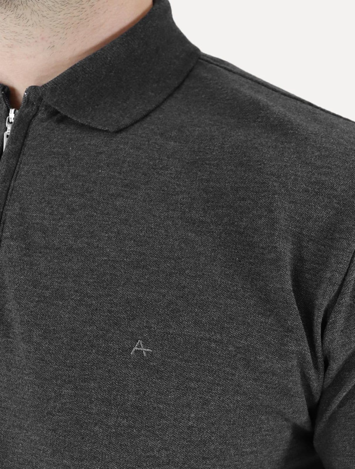 Vista 2 Polo Aramis Masculina Piquet Ziper Mescla Aramis grafite