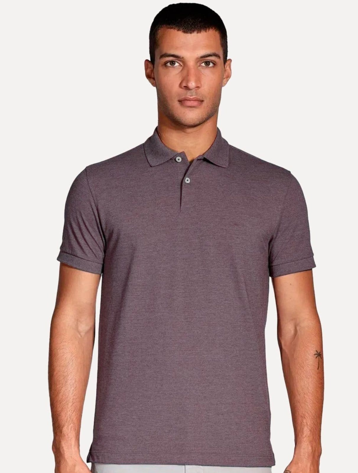 Polo Aramis Masculina Regular Basic Piquet Mescla