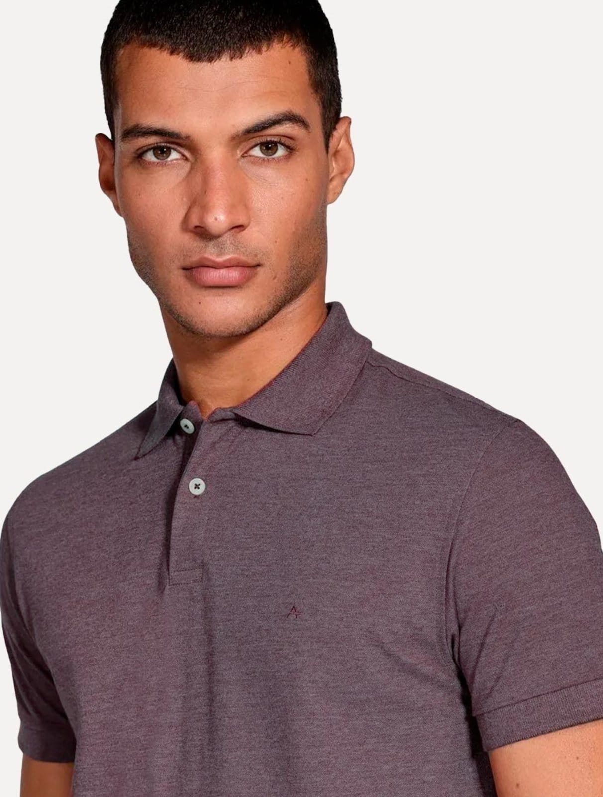 Vista 2 Polo Aramis Masculina Regular Basic Piquet Mescla Aramis roxo