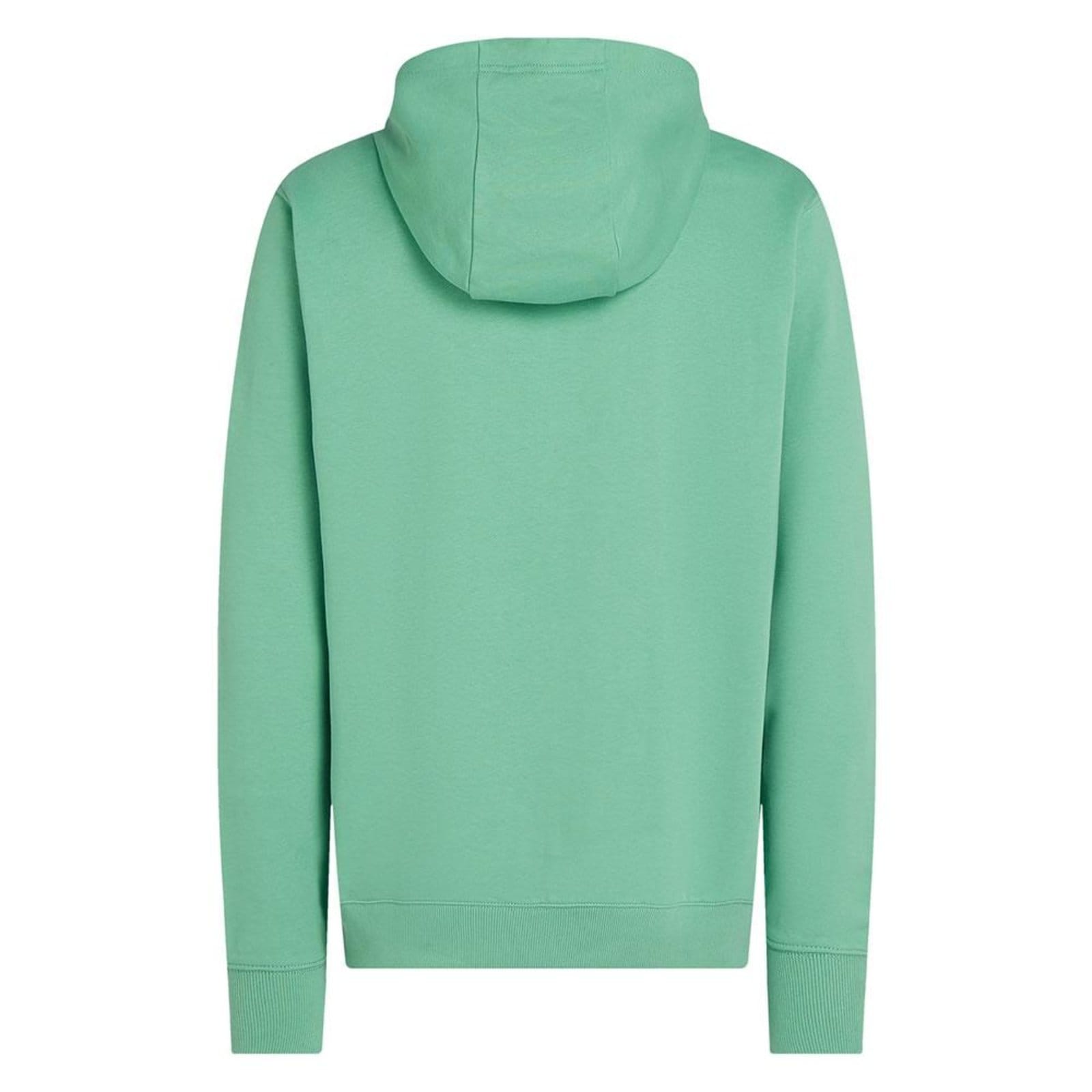 Vista 2 Moletom Canguru Tommy Hilfiger Mini Flag Terry Claro Tommy Hilfiger verde