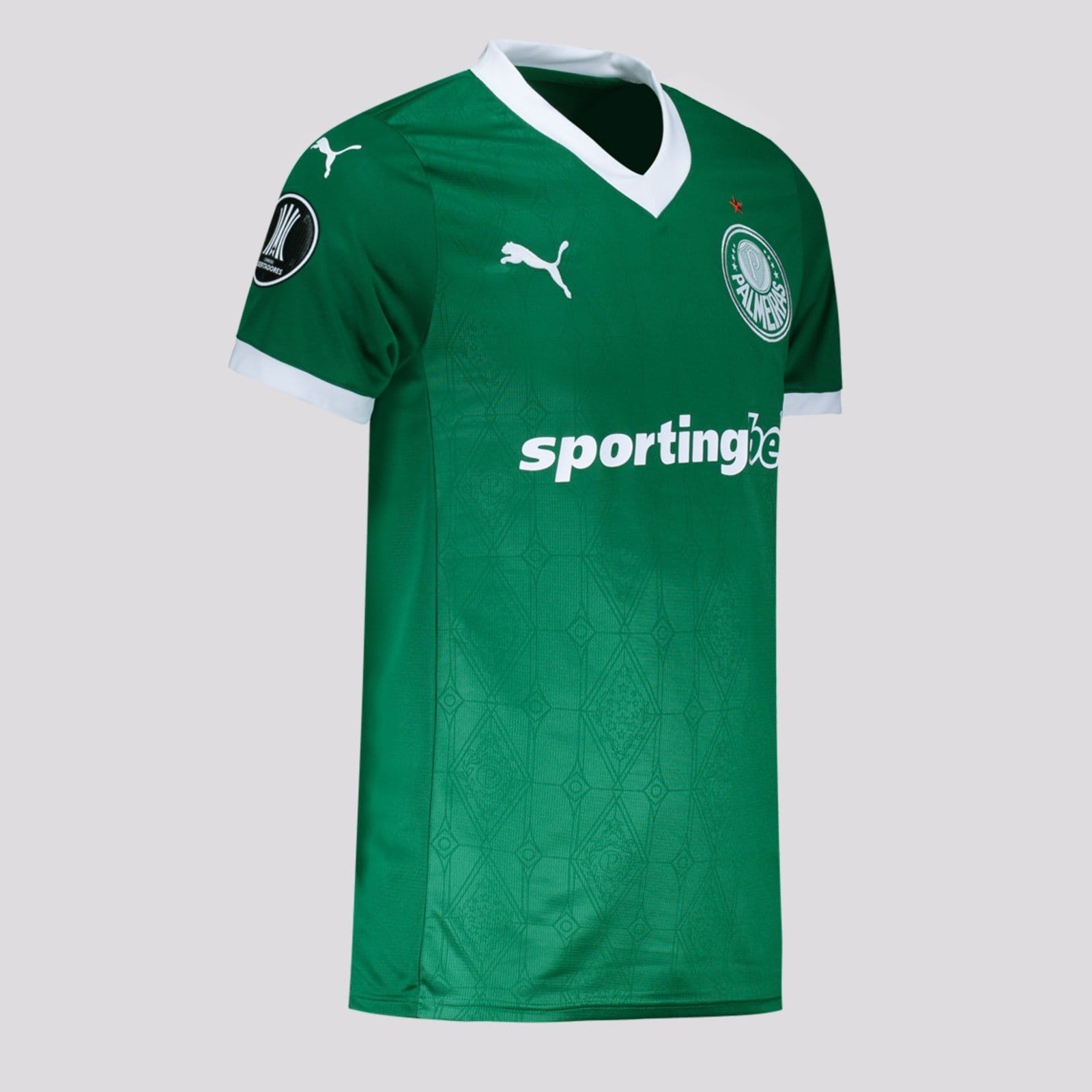 Vista 2 Camisa Puma Palmeiras I 2025 Patch Libertadores Puma verde