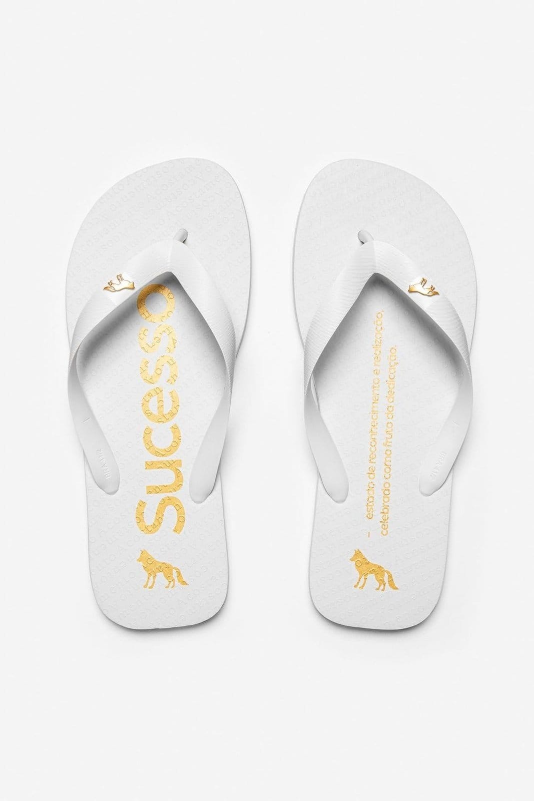 Chinelo Significado Sucesso Masculino Acostamento