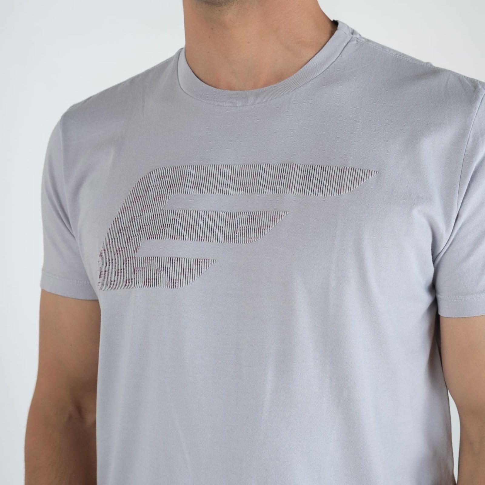 Vista 2 Camiseta Ellus Signature High Ellus cinza