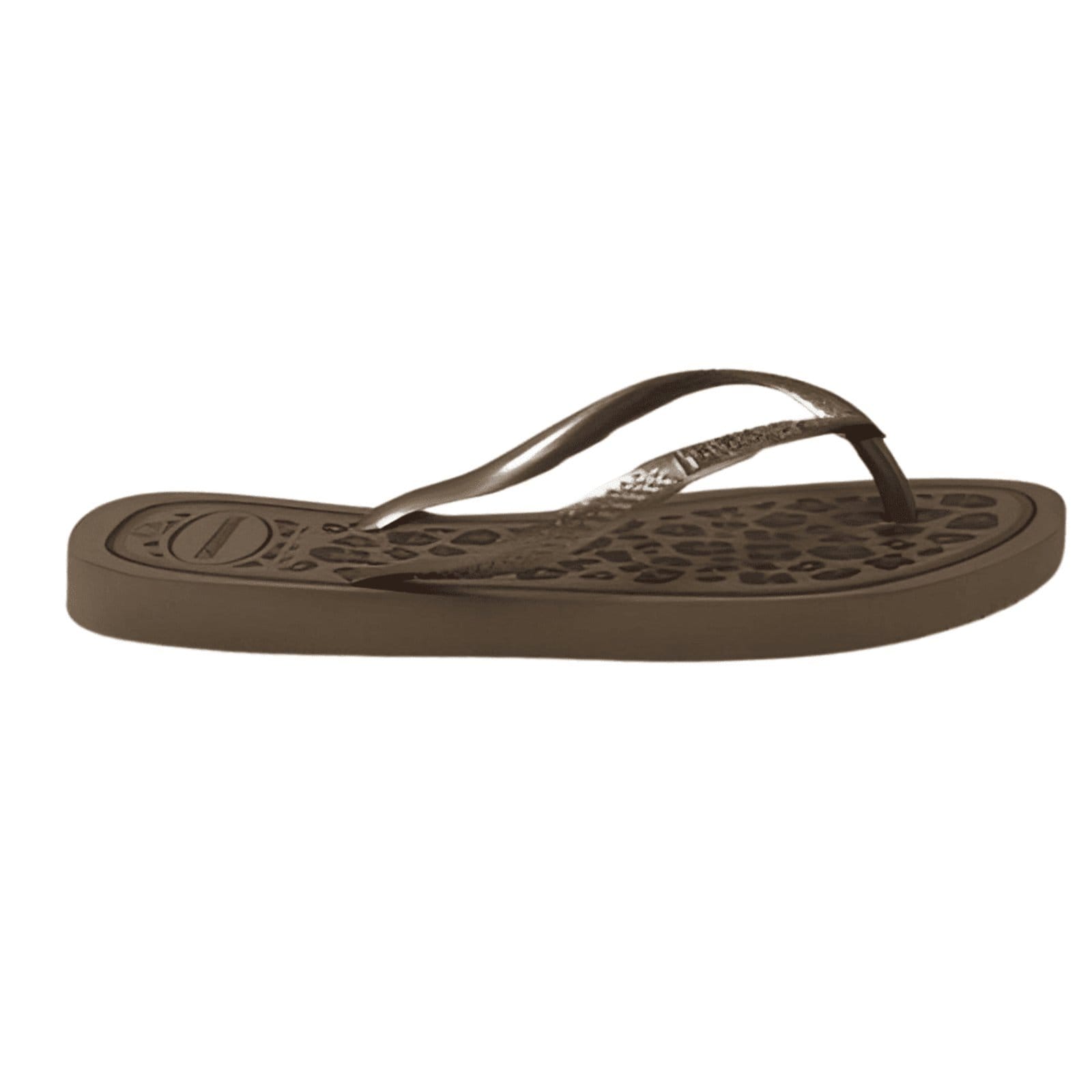 Vista 2 Chinelo Havaianas Feminino Slim Animal Havaianas café