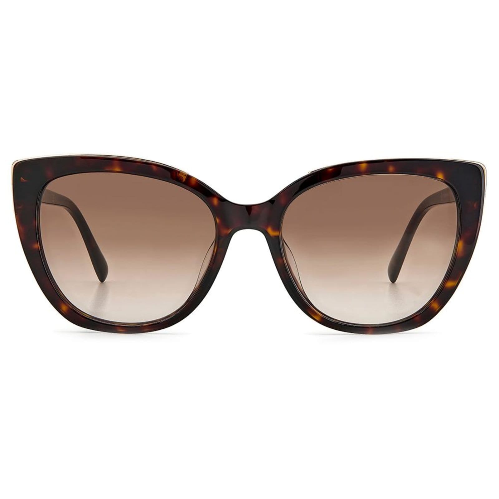 Vista 2 Óculos de Sol Pierre Cardin P.C. 8498/S 086 - Marrom 54 Pierre Cardin incolor