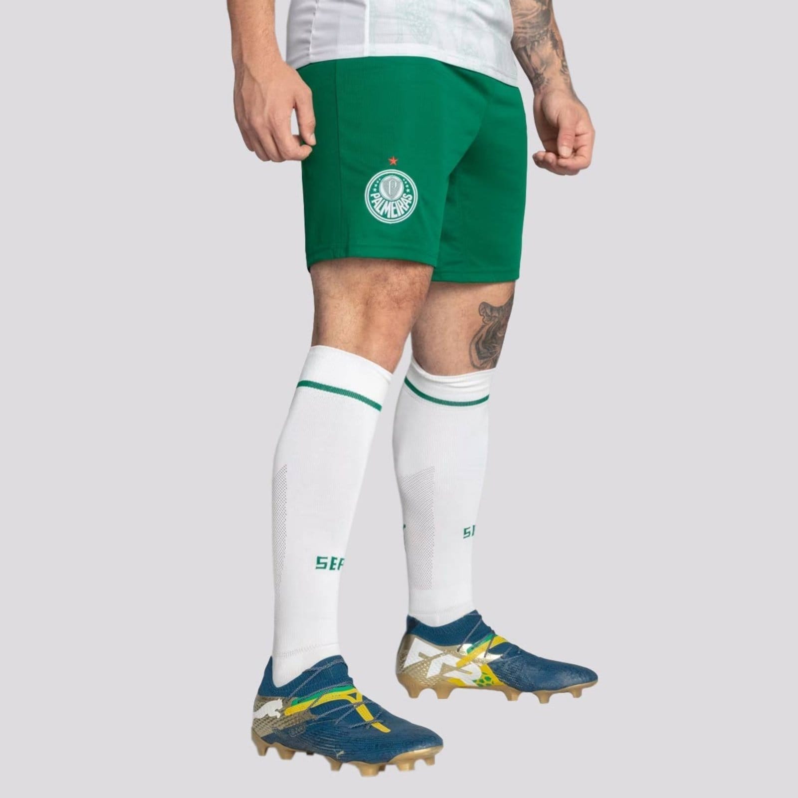 Vista 2 Calção Puma Palmeiras II 2025 Puma verde