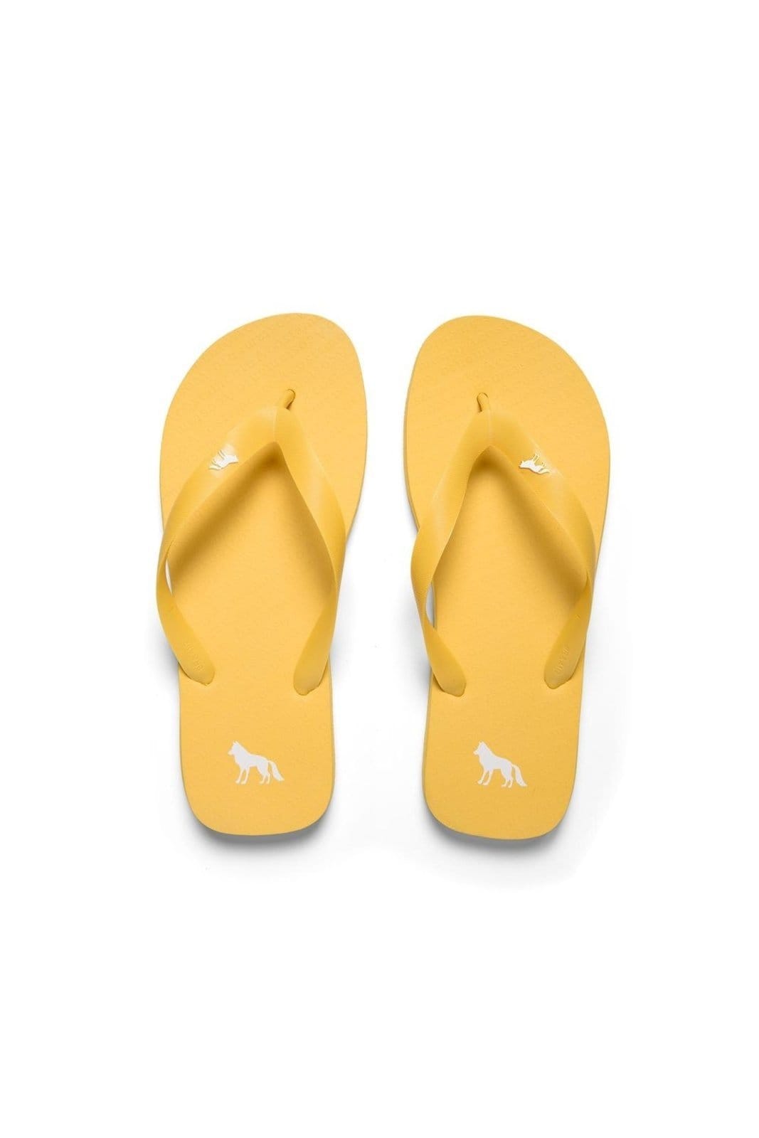 Chinelo Essential Basic Masculino Acostamento