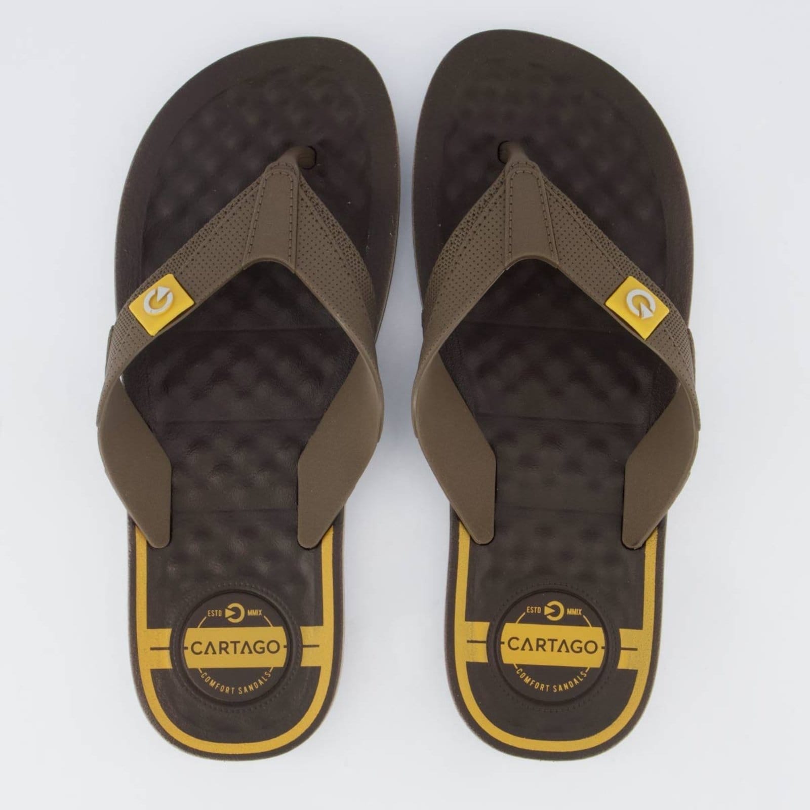 Chinelo Cartago Arizona III