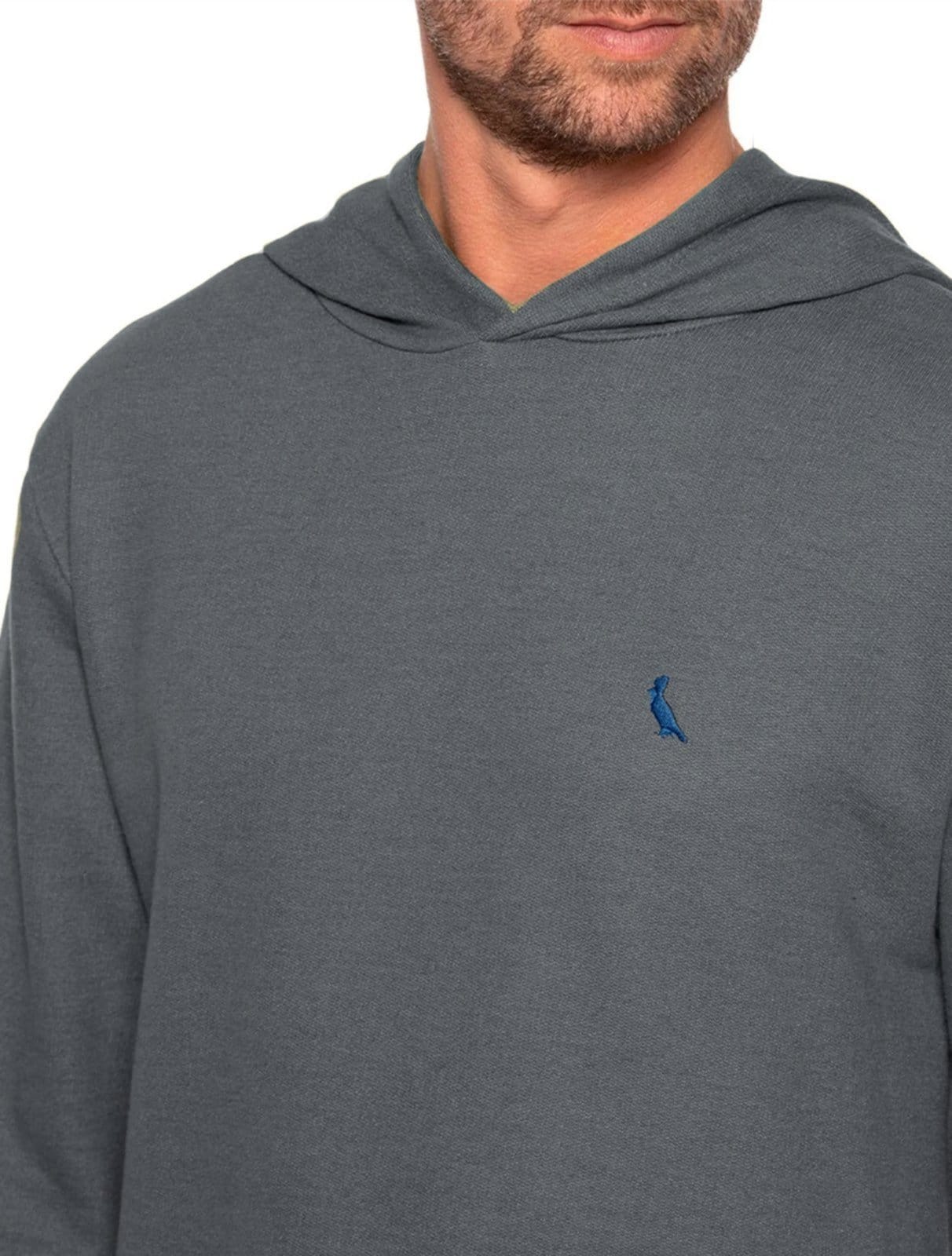 Vista 2 Moletom Reserva Masculino Hoodie Darwin Chumbo Mescla Reserva cinza