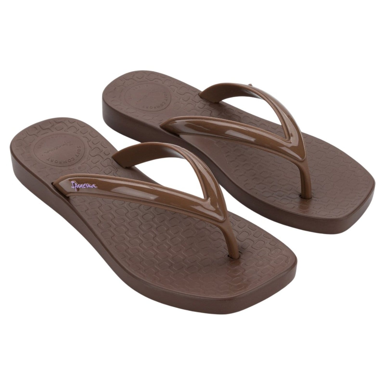Chinelo de Dedo Feminino Ipanema Pluma 27507