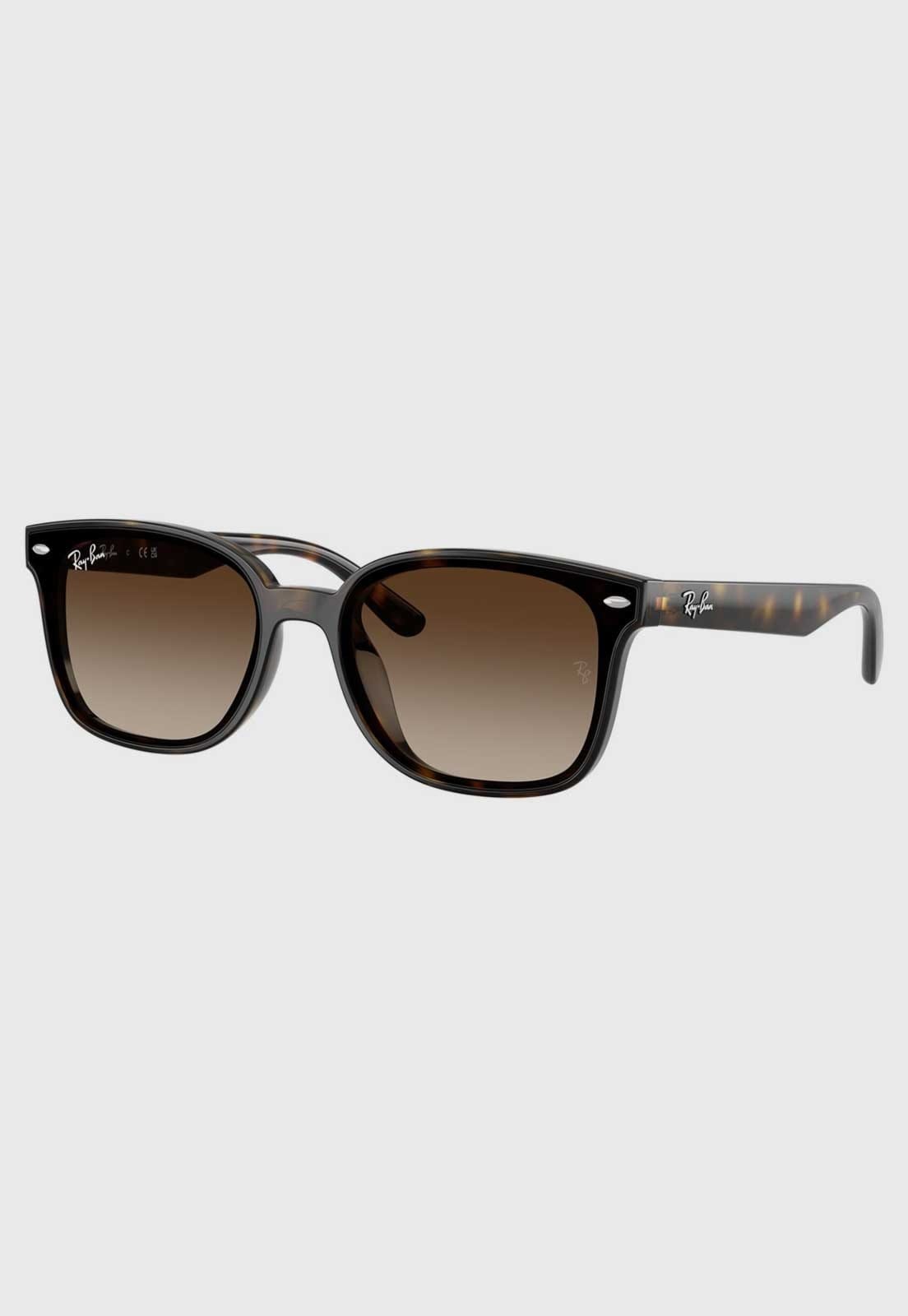 Vista principal Óculos de Sol Feminino Ray-Ban Retangular Tartaruga Ray-Ban marrom
