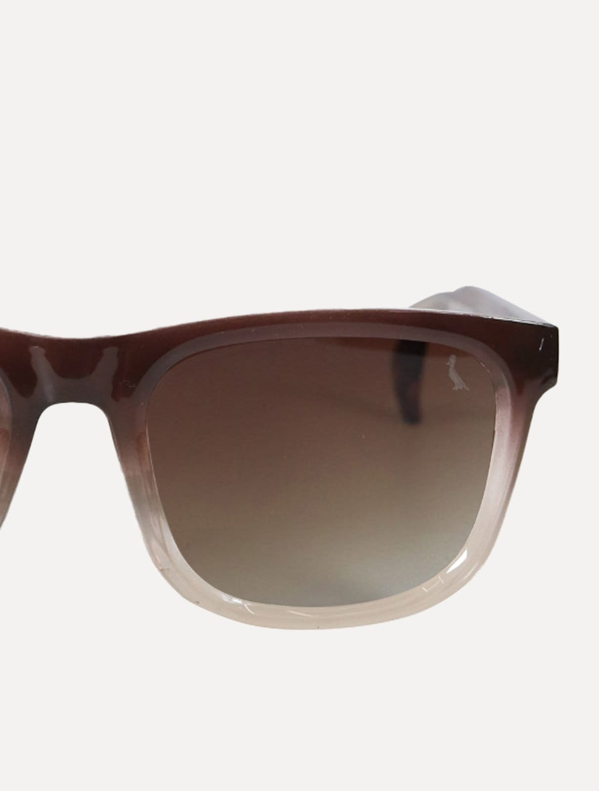 Óculos Reserva de Sol Masculino Groove Pink Marrom - 2