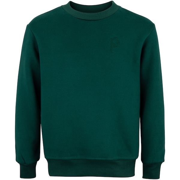 Imagem principal Blusa de Moletom do Palmeiras Betel Champion Juvenil Betel VERDE