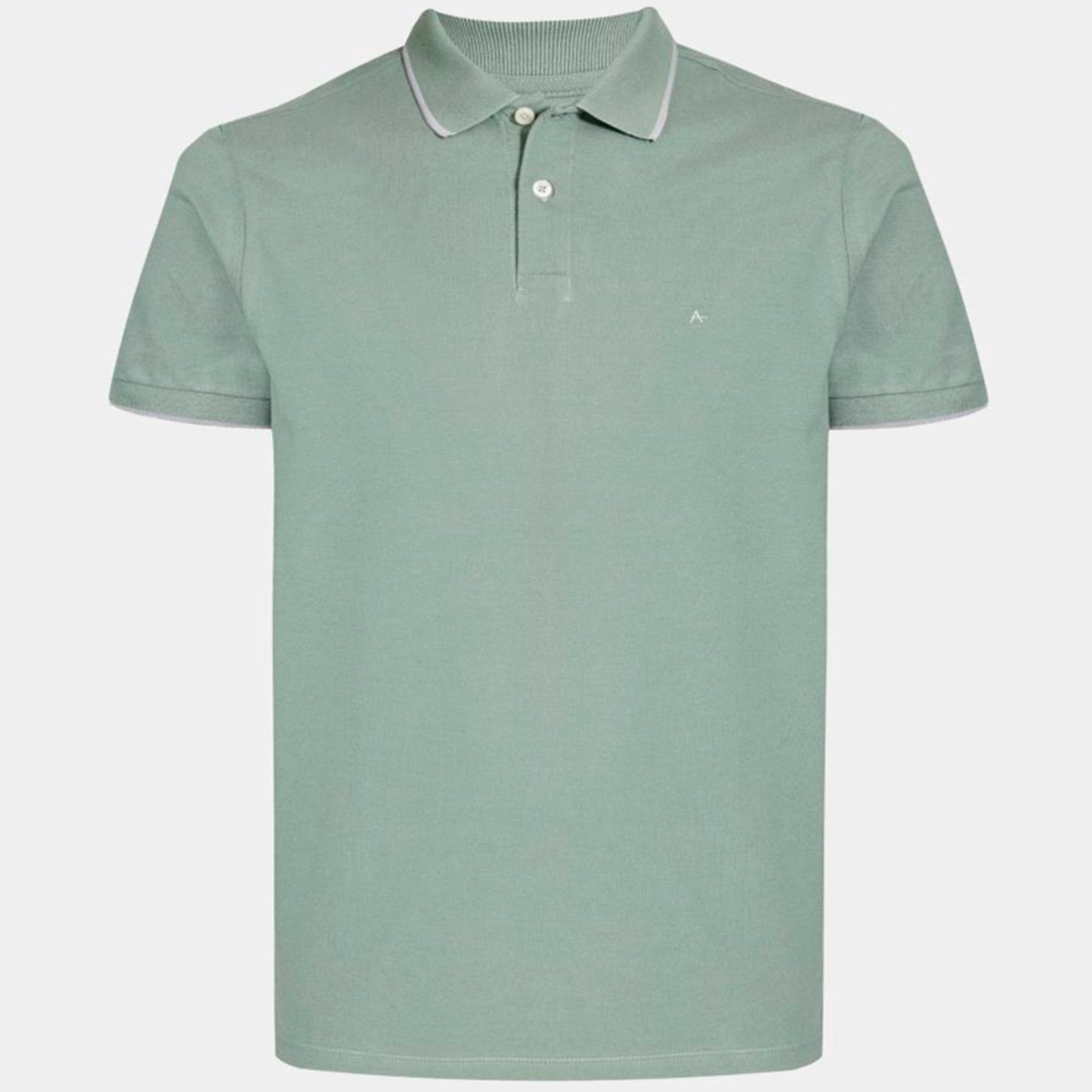Imagem principal Camisa Polo Aramis Classic Friso Ve26b Masculino Aramis verde