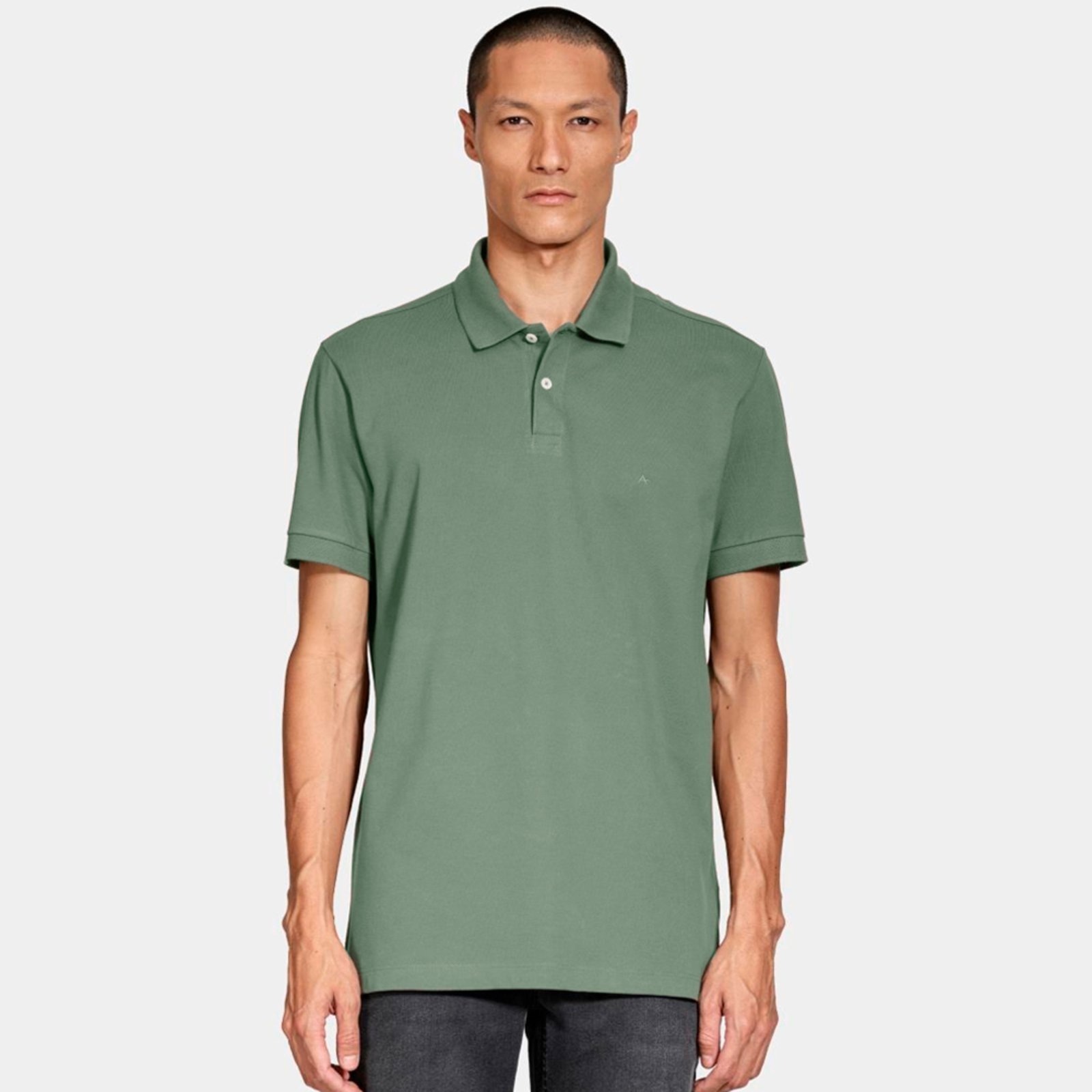 Imagem principal Camisa Polo Aramis Basic Piquet Pr26 Masculino Aramis verde
