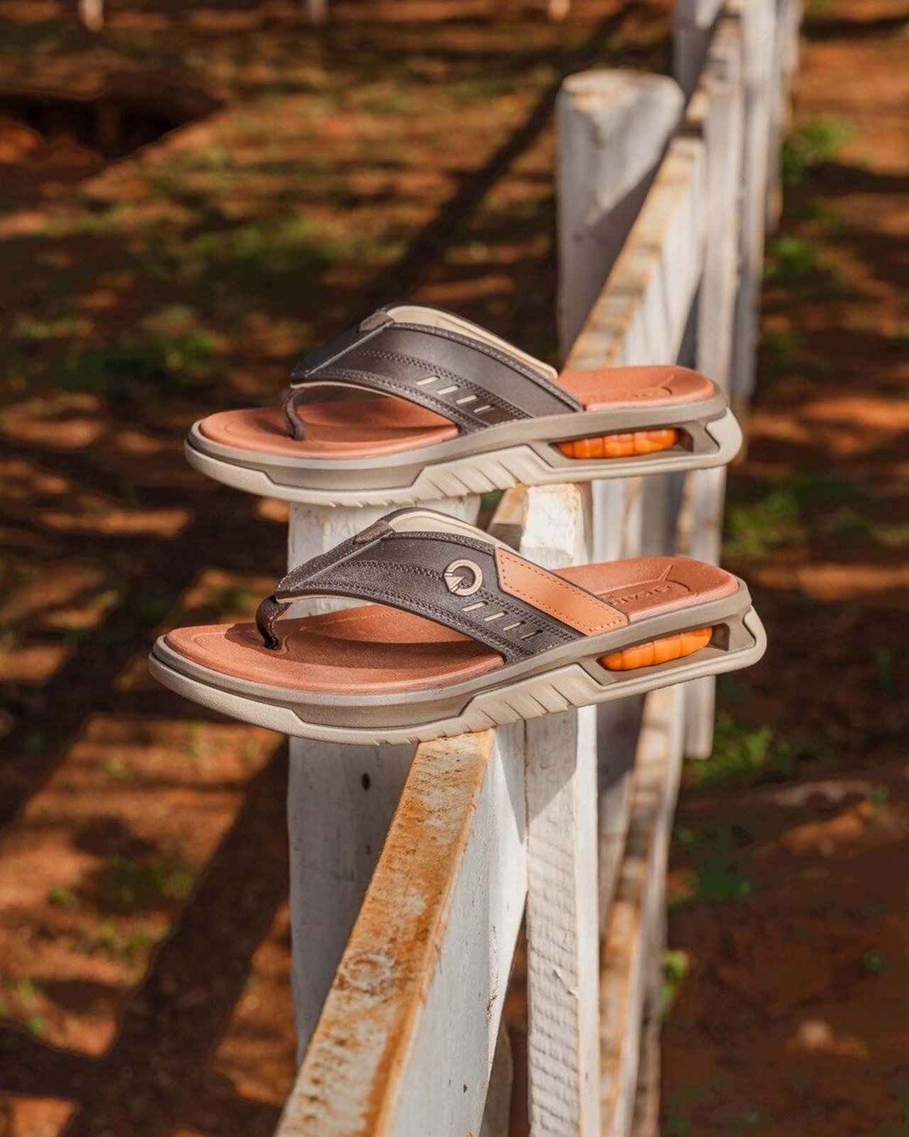 Imagem principal Chinelo Masculino Cartago Cairo CARTAGO marrom