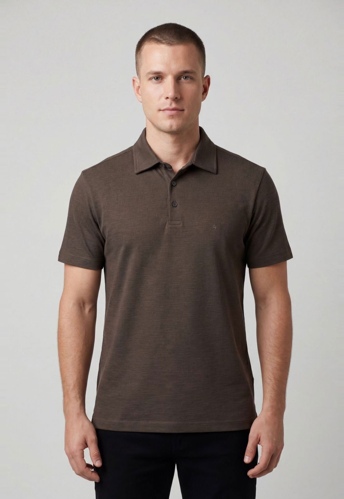 Imagem principal Polo Masculina Aramis Modelagem Clássica Aramis marrom