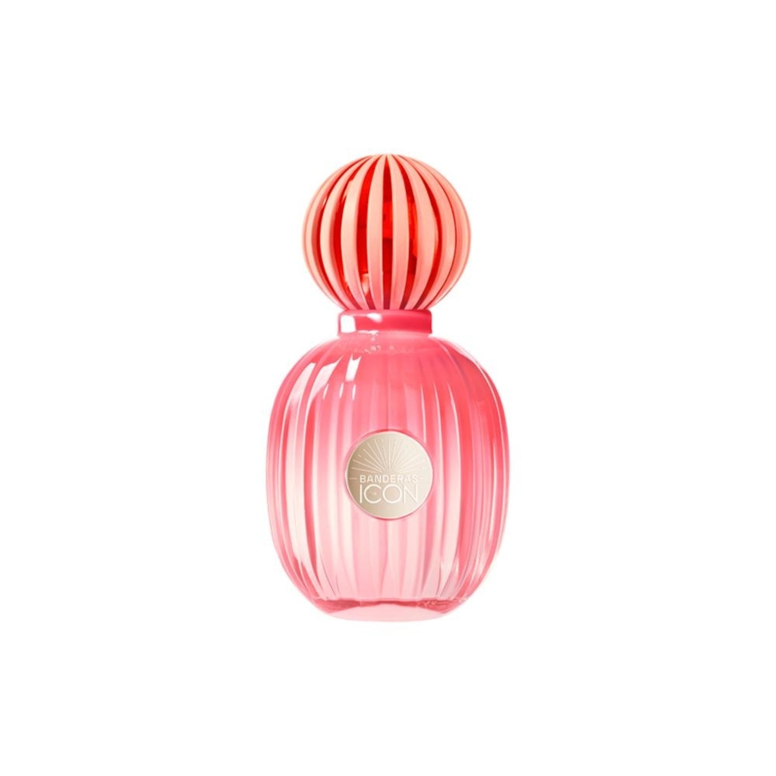 Imagem principal Banderas The Icon Splendid Eau de Parfum Perfume Feminino 50ml Banderas incolor