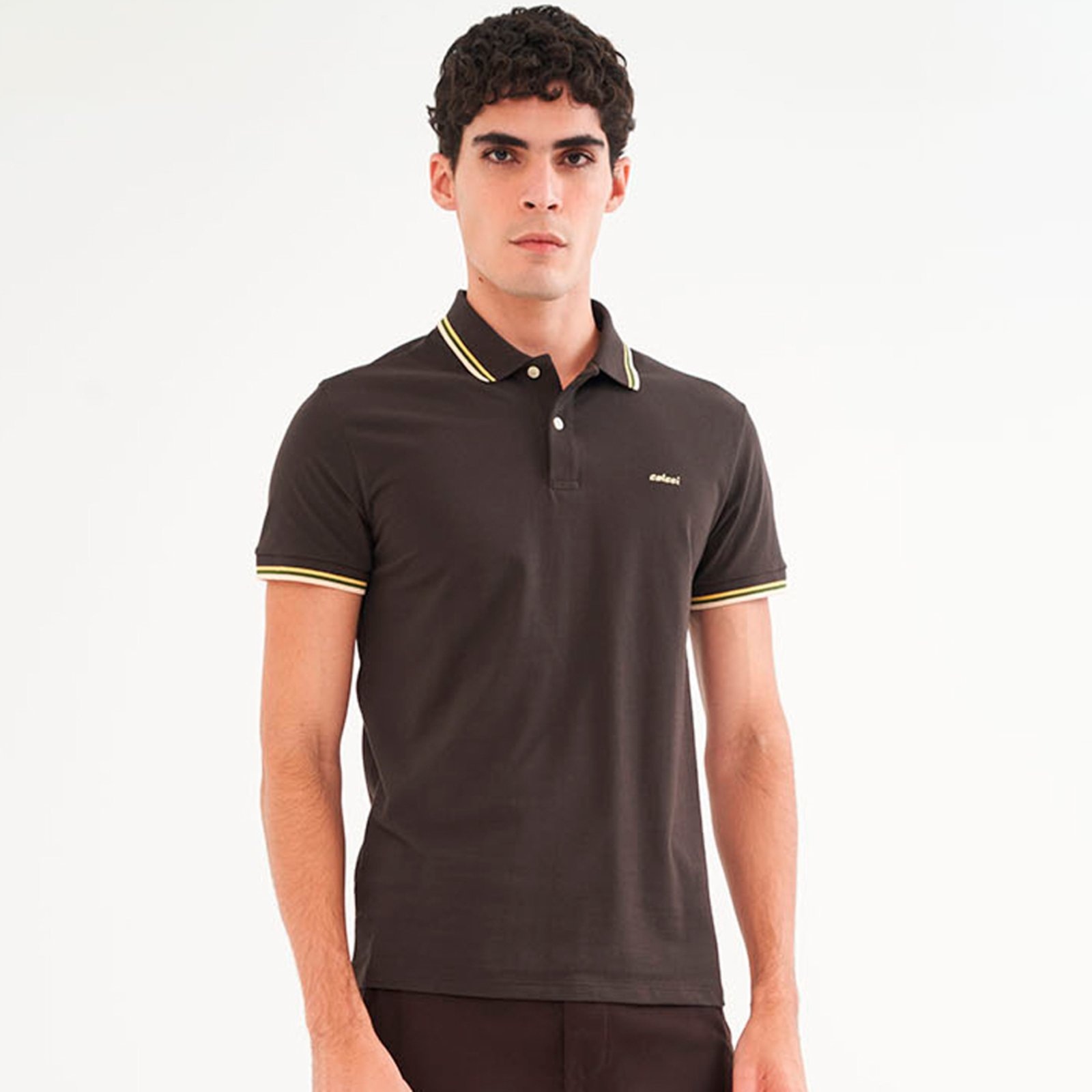 Imagem principal Camisa Polo Colcci 3 Listras Pr26 Coffe Masculino Colcci marrom