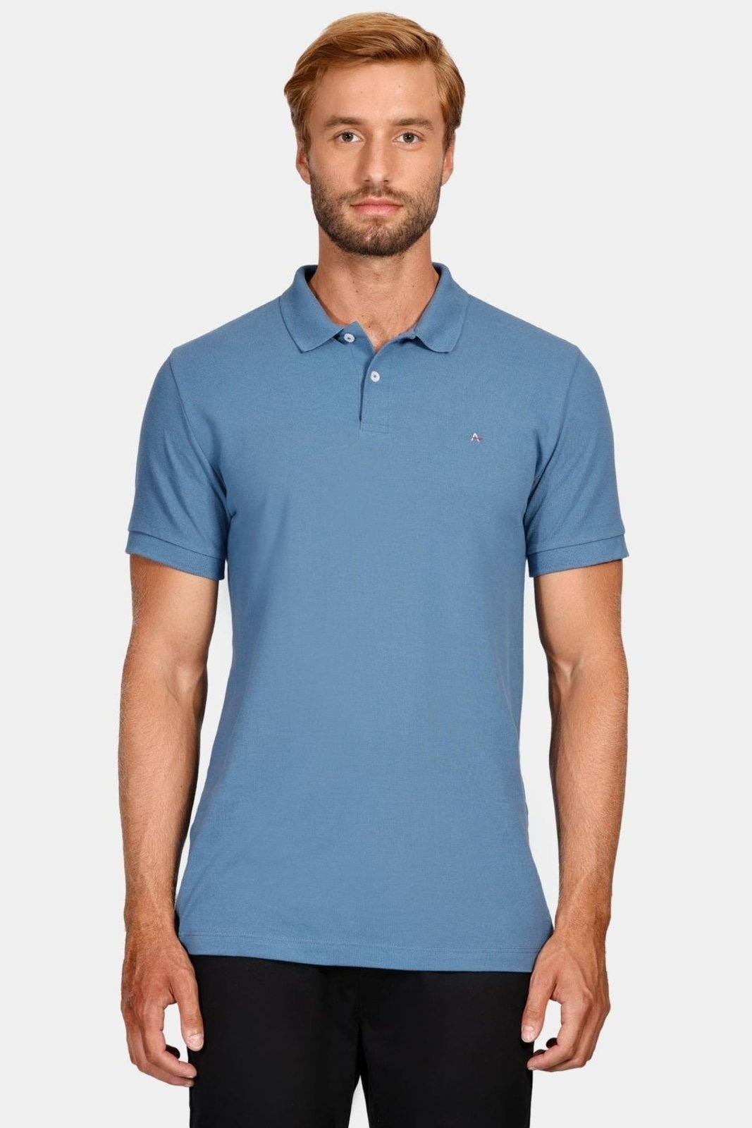 Imagem principal Polo Aramis Manga Curta Lisa Piquet Azul Médio Aramis incolor azul