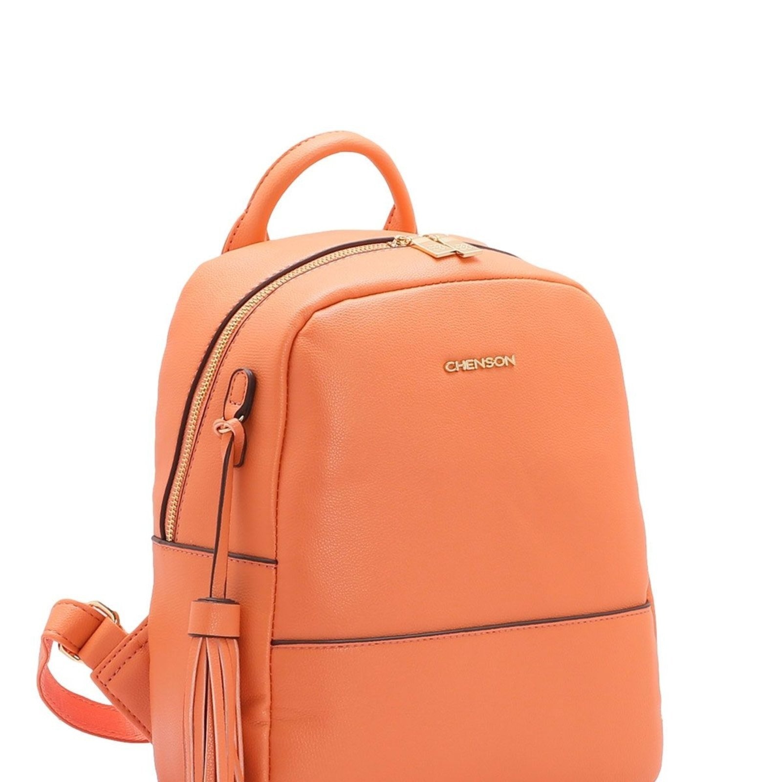 Imagem principal Mochila Feminina Classica 8484291 Chenson marrom