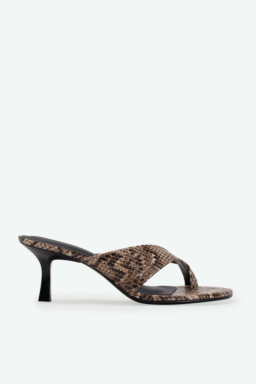 Imagem principal Tamanco Yasmin Suzana Santos cobra